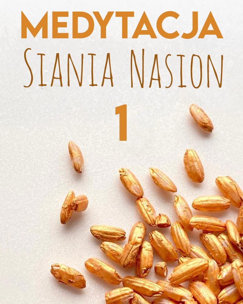 Medytacja Siania Nasion 1